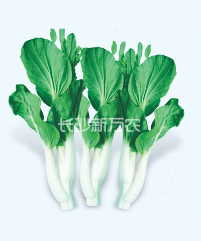 · 菜薹類